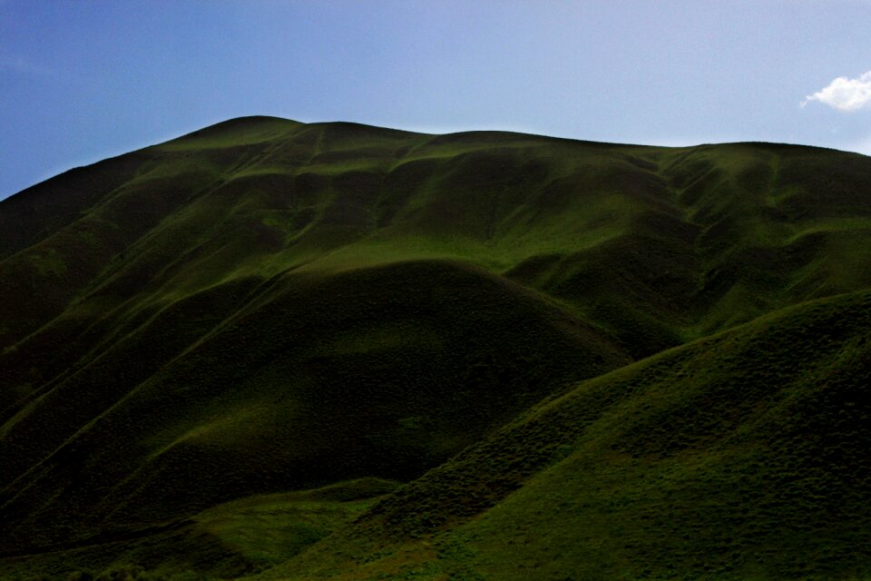 Hakkari grass turkey