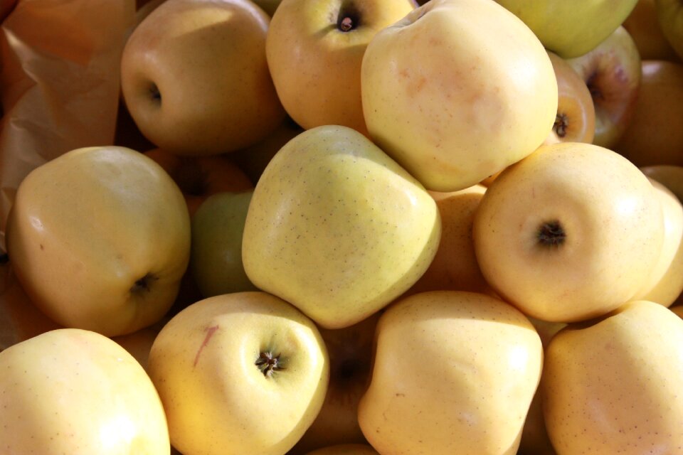 Nature food apple