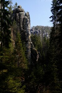 Czech nature trees