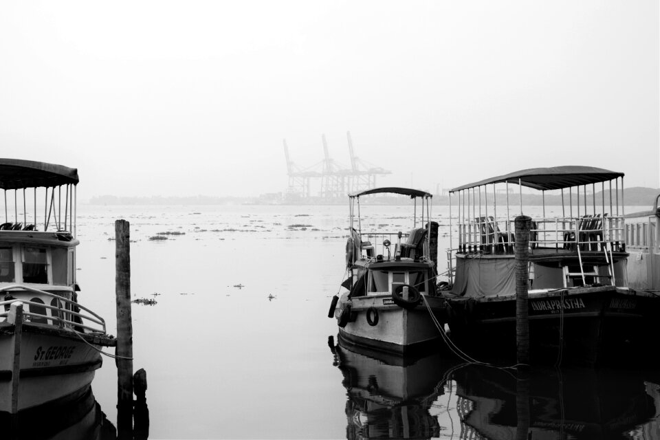Cochin fishing travel