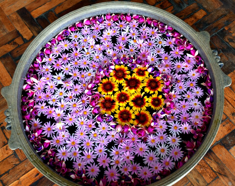 Indian festival colorful
