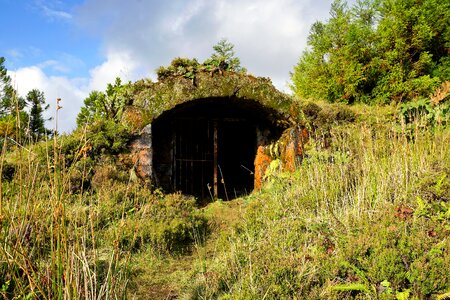 Nature green landscape