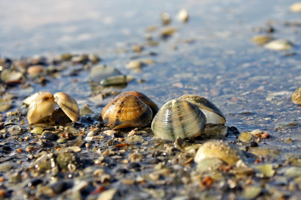 Sea water natural