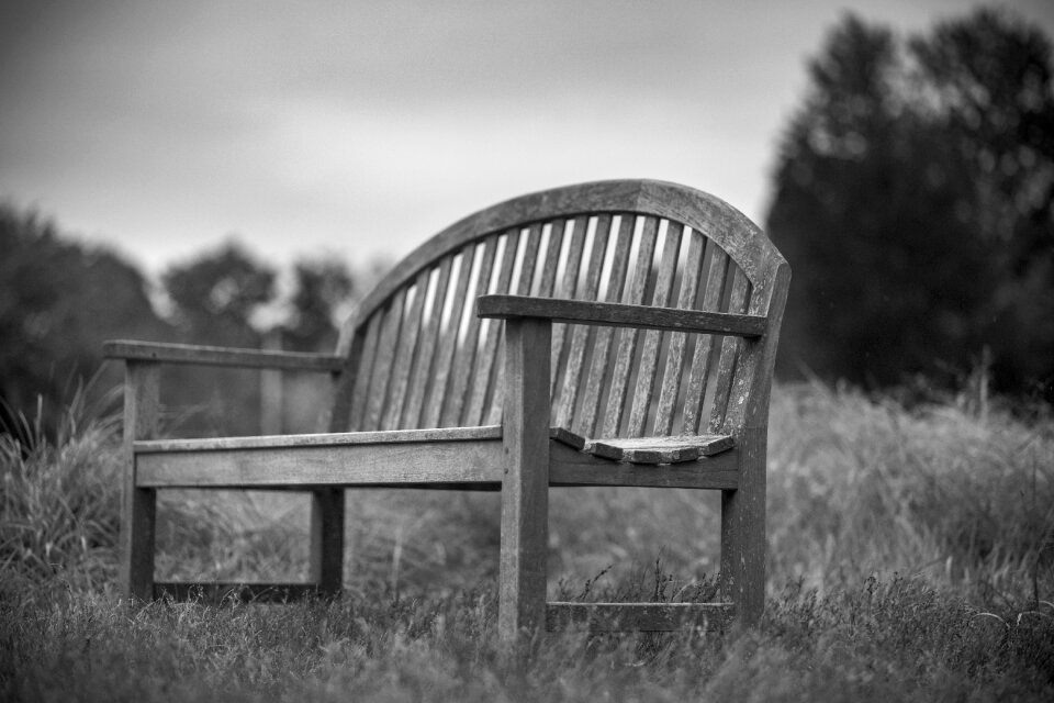 Black and white landscape