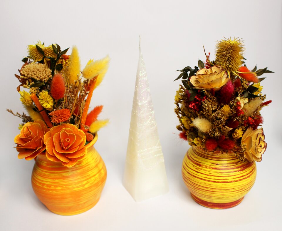Home decoration dried decorations flowerpot