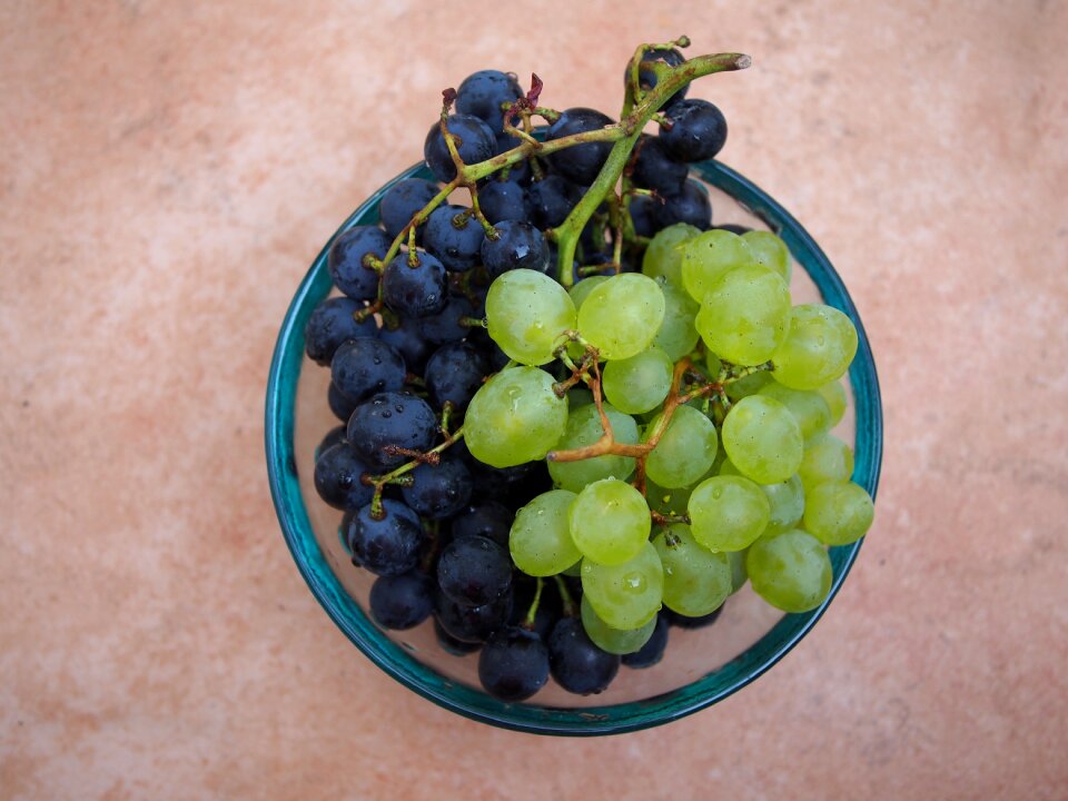Vines fruit healthy