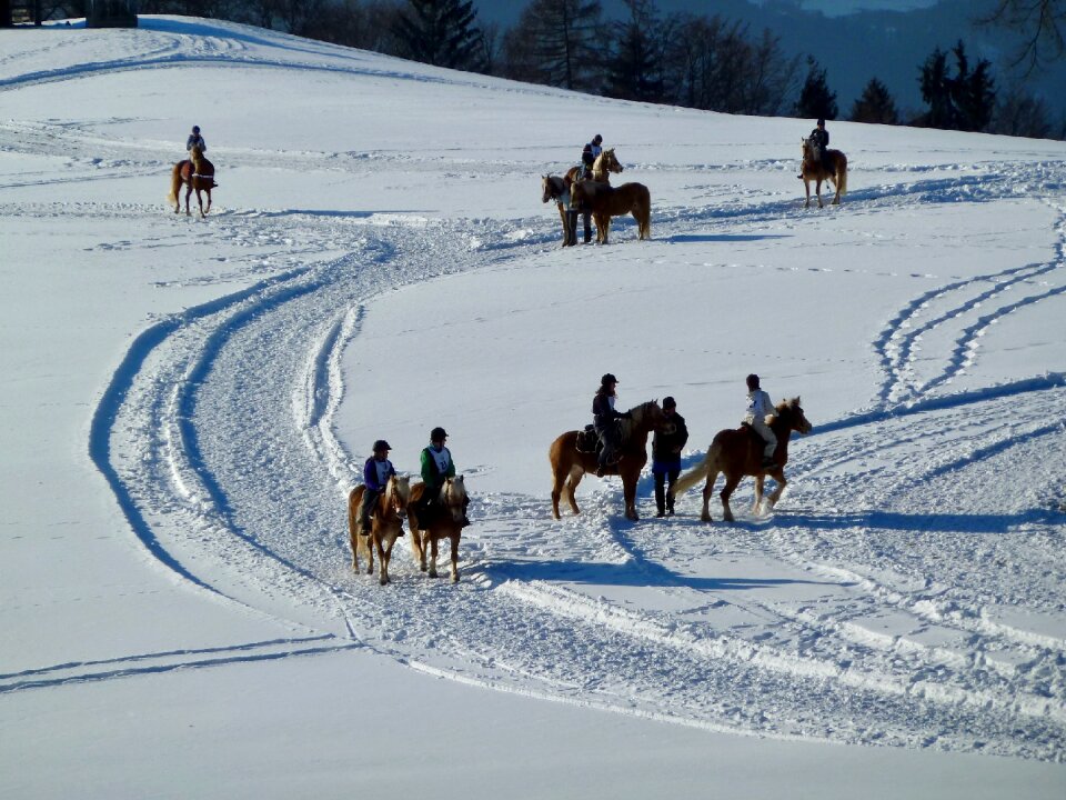 Winter riding nature