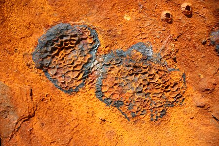 Iron rusted corrosion