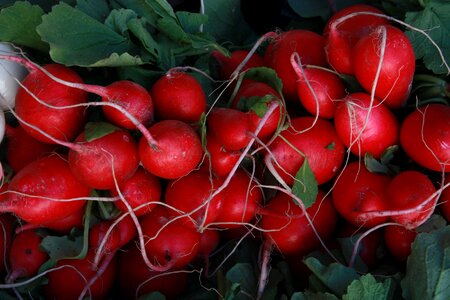 Red tubers vegetables