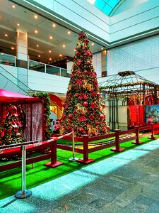 Decoration christmas