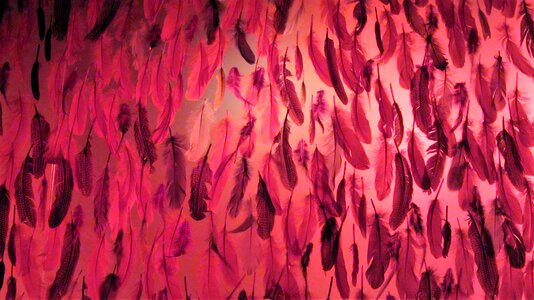 Background wall decoration plumage