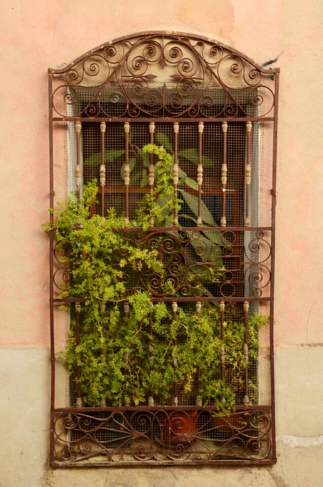 Fence iron wrought iron
