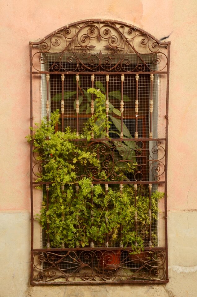 Fence iron wrought iron photo