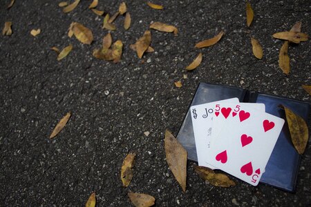 Playing cards hearts joker photo