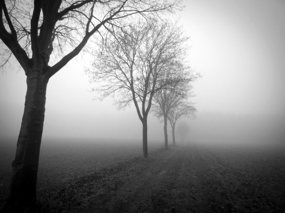 Landscape autumn atmosphere