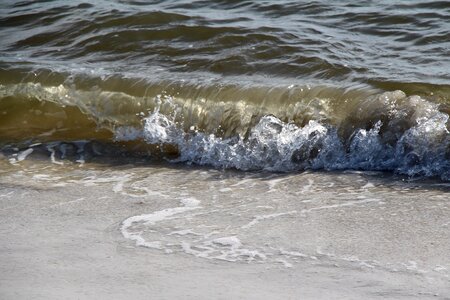 Florida sand foam photo