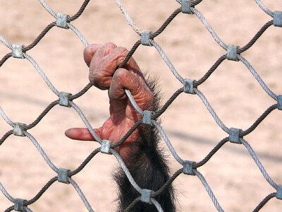 Fencing prison the closure of photo