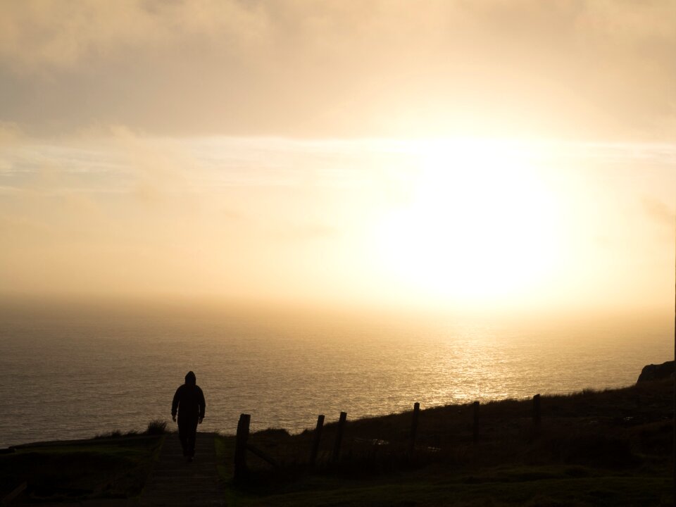 Sunlight landscape bright
