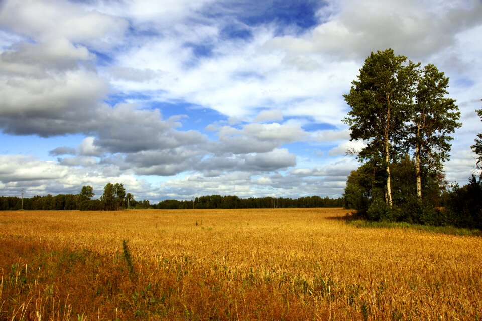Summer blue sky clouds