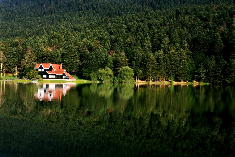 Landscape turkey pond