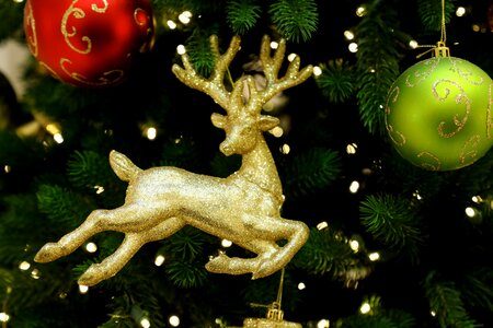 December christmas cologne