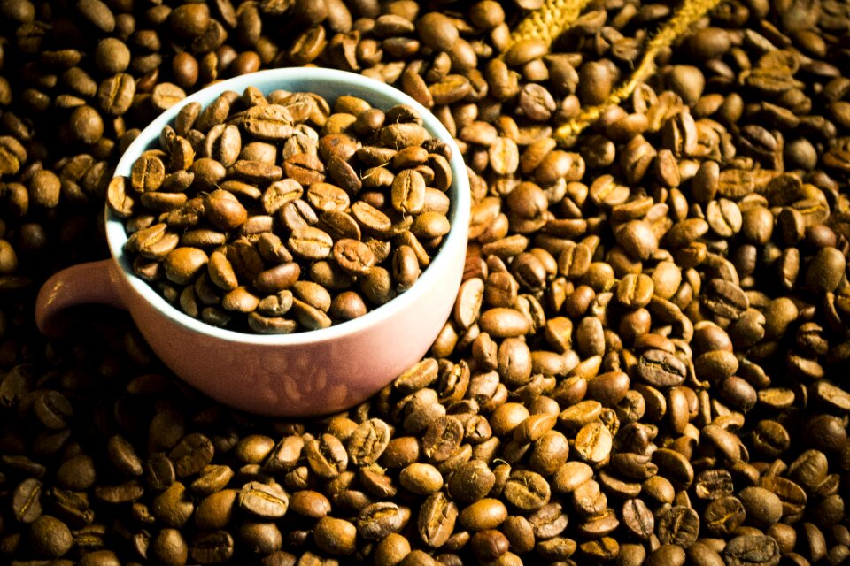 Background coffee grains detail