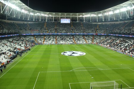 Benfica champions league