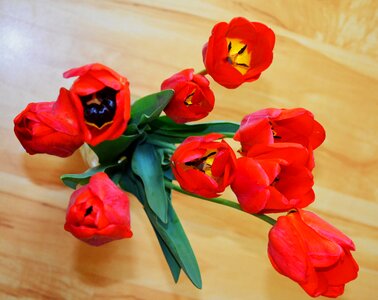 Bright beautiful flowers handsomely