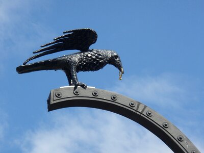 Budapest legend raven