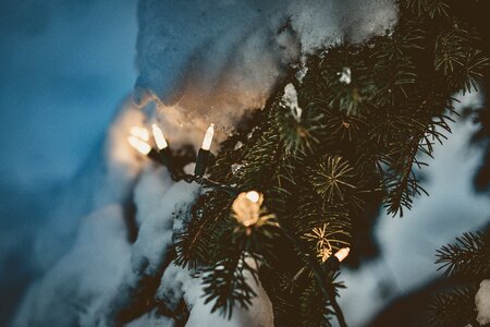 Christmas decoration christmas lights cold