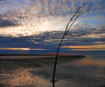 Sea nature sun photo