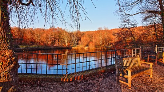 Park water landscape photo