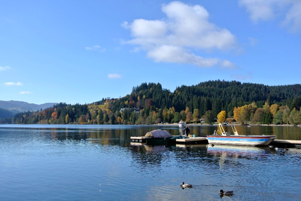 Lake boat forest