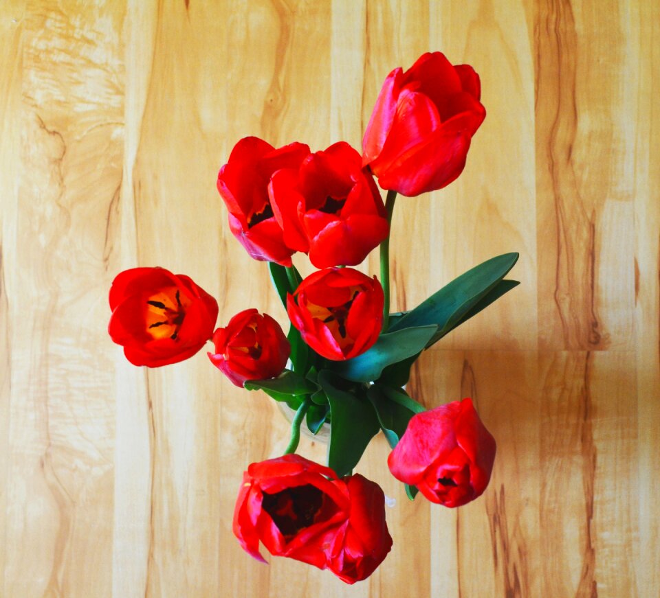 Bright beautiful flowers handsomely