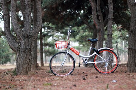Bicycle bike mount worship