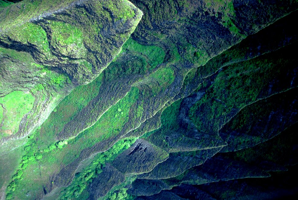 And green field green