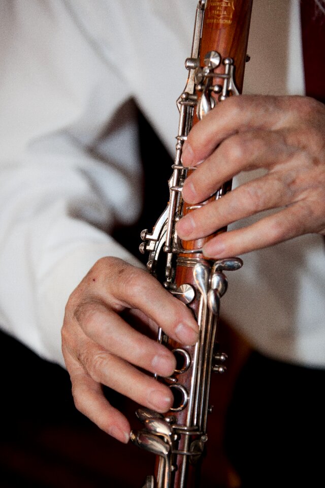 Instrument hands musiciant