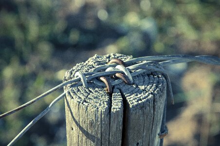 Pile demarcation fence post photo