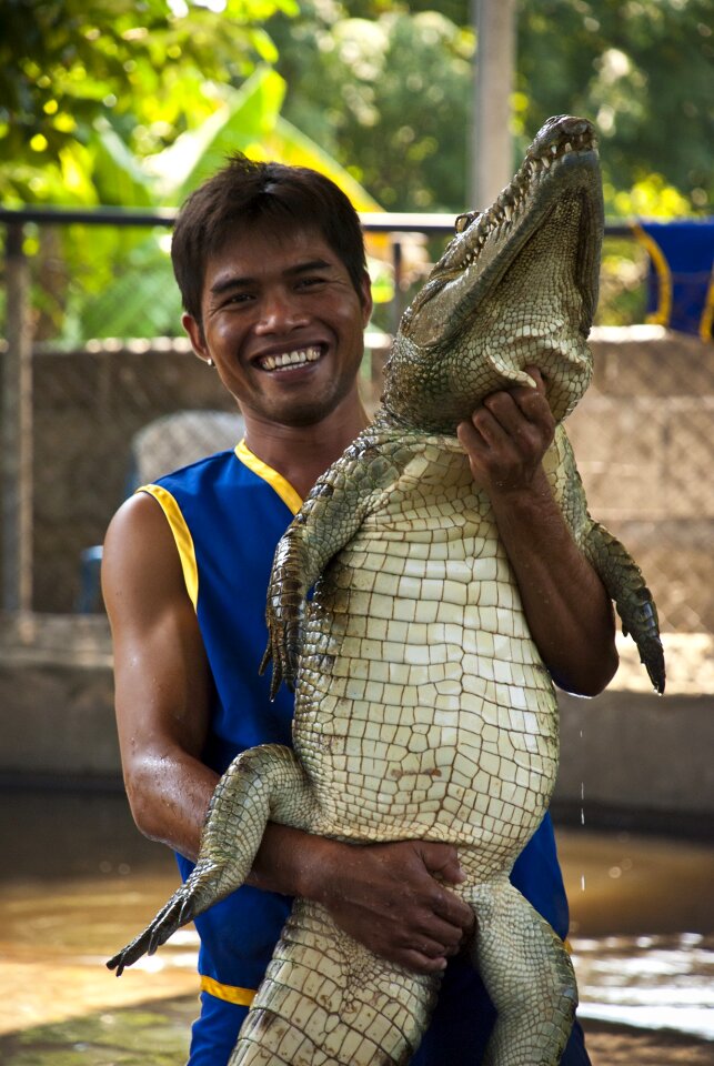 Circus predator dangerous