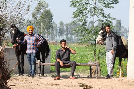 Horses rural young people