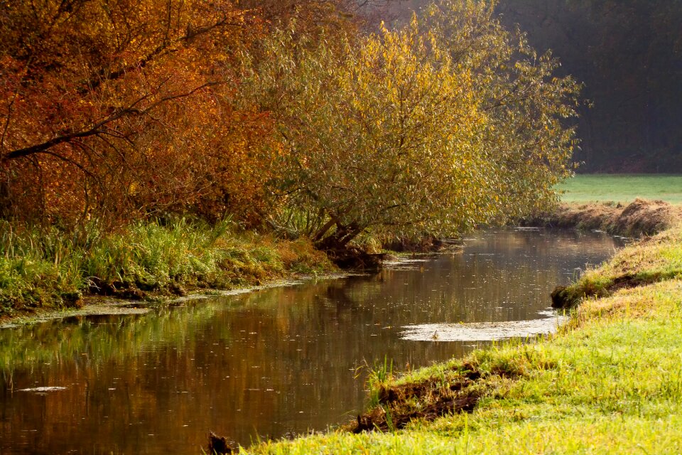 Autumn winter autumn colours