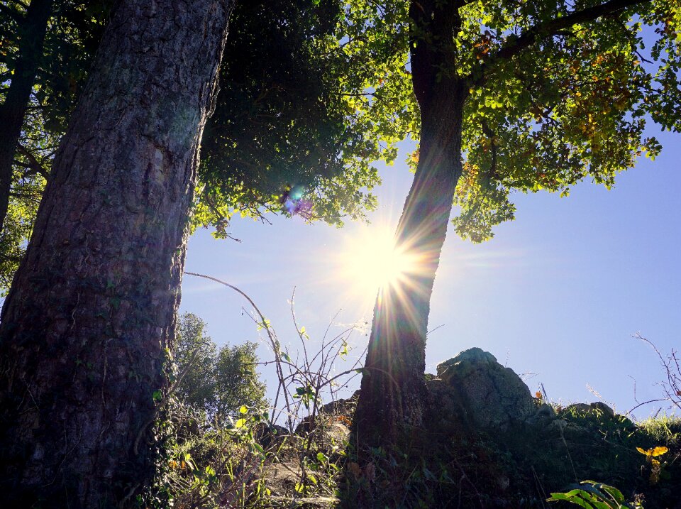 Landscape nature light