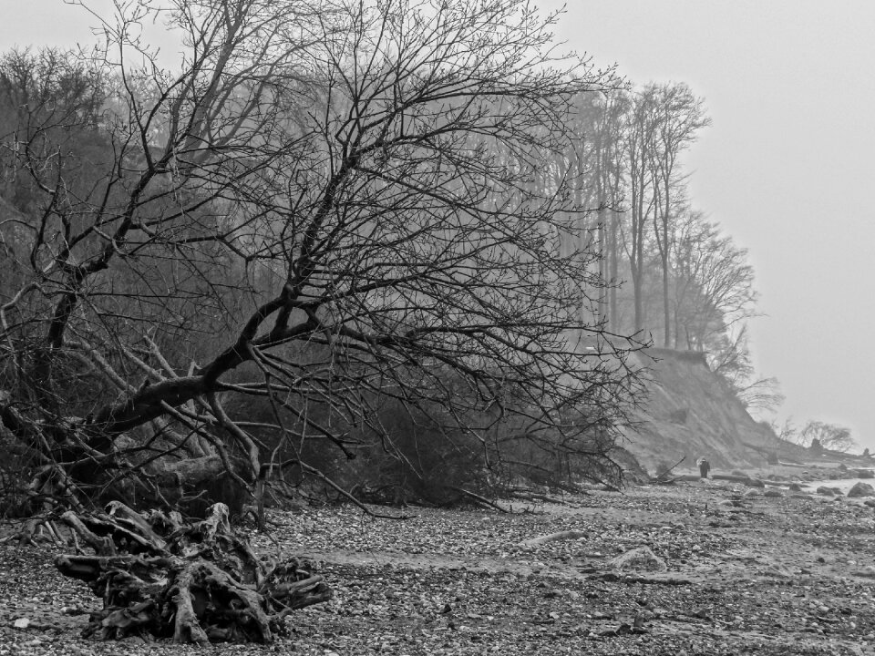 Baltic sea fog beach