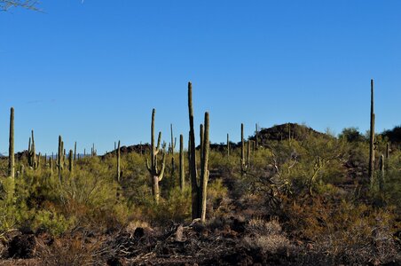 Nature journey adventure