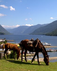 Lake teletskoye mountains nature photo