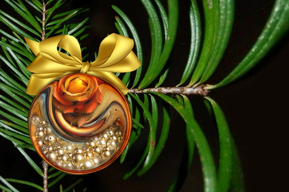Xmas year celebration