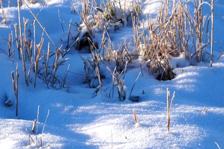 Cold snow landscape frost