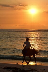 Sea water beach photo