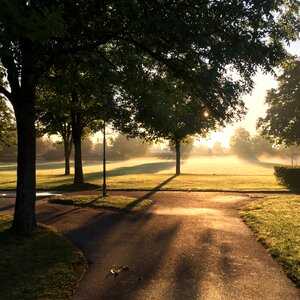 Morning mood morning mist