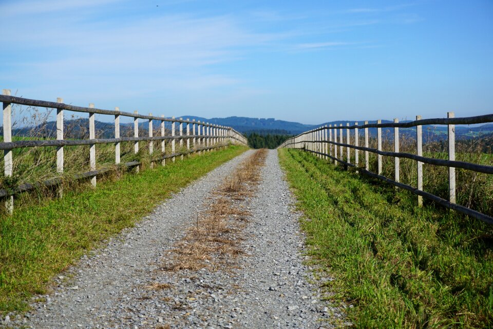 Nature landscape fence